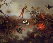 马丁 约翰逊 赫德 : Tropical Landscape with Ten Hummingbirds